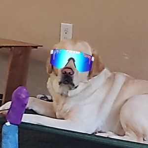 Meet your Posher, Gunnar